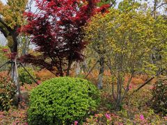 -狼山风景名胜区