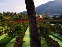 -亚龙湾国际玫瑰谷