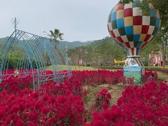 -美的鹭湖探索王国