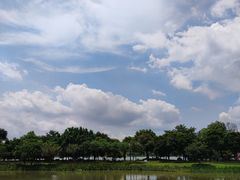 -海珠湖公园