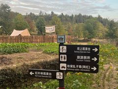 -塔川景区