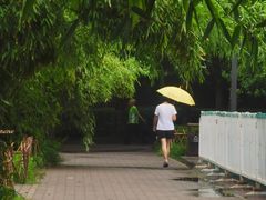 -丰台科技园生态主题公园