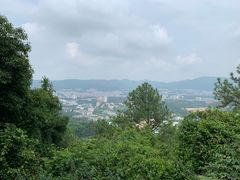 -火炉山森林公园