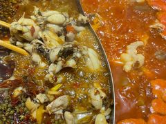 -铭记蛙小仙·活蛙畅享(CBD万达广场店)