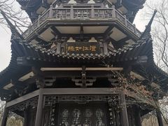 -镇江市南山风景名胜区竹林景区