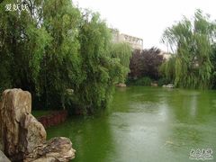 -曲江惠宾苑宾馆(大雁塔大唐不夜城店)