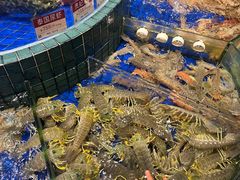 -金悦轩海鲜酒家(拱北店)