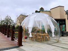 -上海崇明金茂凯悦酒店