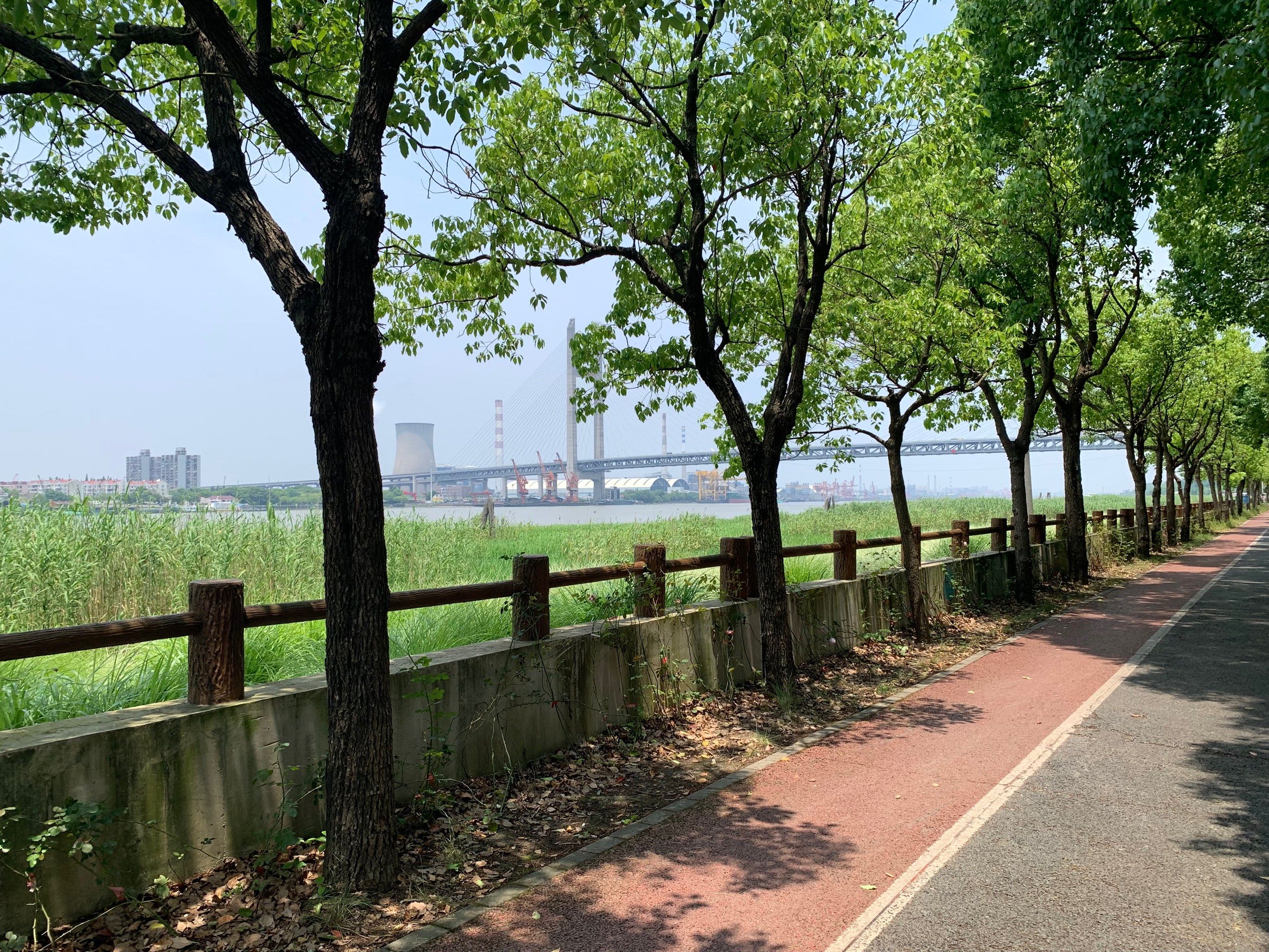 郊野公园|这里是滨江漫步区