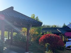 -《神游传奇》秀