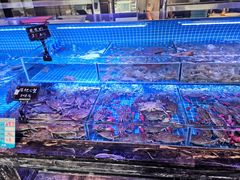 大堂-渔民船说·北塘海鲜·天津菜·海肠捞饭(北塘古镇店)