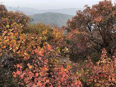 -北京西山国家森林公园