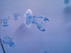 -常州海昌海洋探索馆