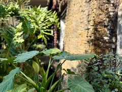 -小榄人家酒楼(民安店)