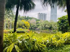-广州珠江公园
