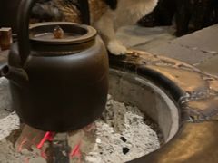 -普洱茶府(博乐广场店)