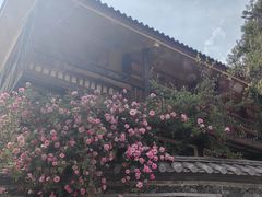 -玉湖村