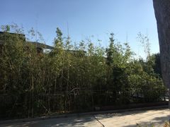-临沂动植物园