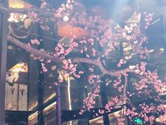 -老板恋上鱼(高新万达店)