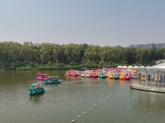 -大兴滨河森林公园