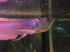 -正大生活馆(杨高中路店)