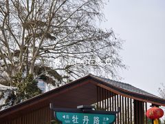 -洛阳市牡丹公园