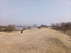 -盘龙城国家考古遗址公园