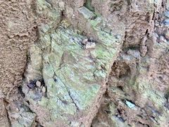 -终南山国家森林公园