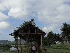 -亚龙湾国际玫瑰谷