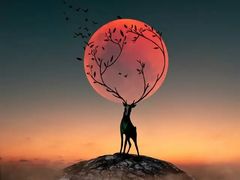 -南京夫子庙国际青年旅舍(平江府路店)