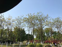 -铁山坪森林公园