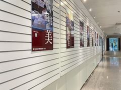 -金陵图书馆