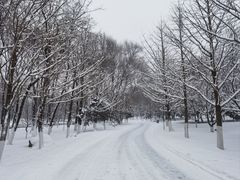 -长白岛森林公园