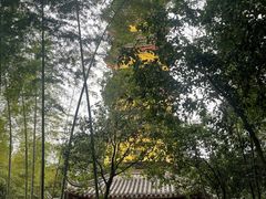 -阿育王寺