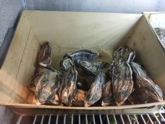 -蚝堡海鲜·威海菜·海肠捞饭·烧烤·亚洲吃蚝公司(幸福门店)