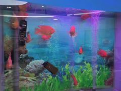 -雅悦齿科(顾村公园店)