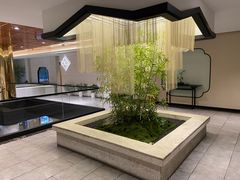 -绿杨春·淮扬宴(庐山路店)