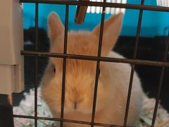 -龙猫仔乐园(惠福东路店)