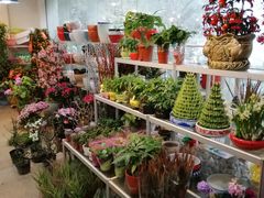 -双季花艺园艺市场(浦东店)