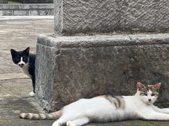 -四门塔风景区