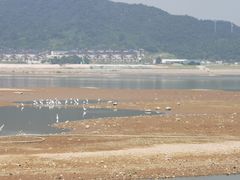 -南昌青山湖风景区
