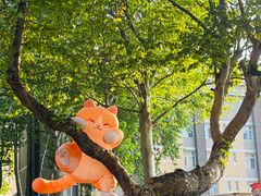 -西安电影制片厂