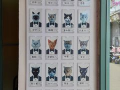 -喵屿·大理花园猫咖