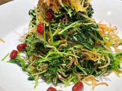 巧拌豆苗-四季民福烤鸭店(西单华威约饭街店)
