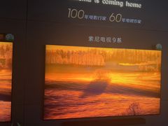 -Sony Store索尼(深圳深业上城店)