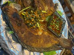 考罗非鱼-蜗牛小馆醉乡民谣云南菜(惠新西里店)