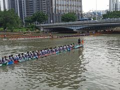 -光明港公园