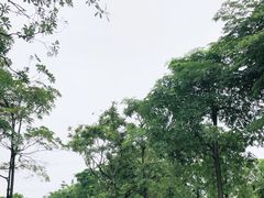 -怡海公园(桂城街道)