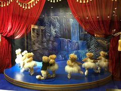 -济州岛泰迪熊博物馆