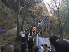 -帽儿山风景区